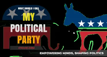 Naming Your Political Party: Crafting a Brand That Resonates and Inspires