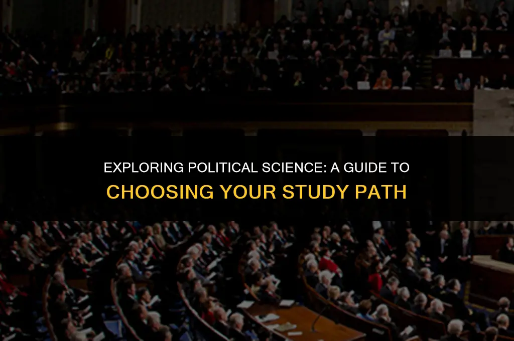 what should i study political science