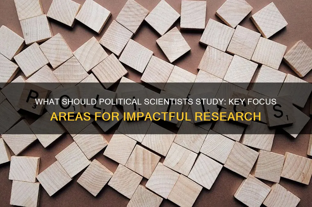 what should political scientists study