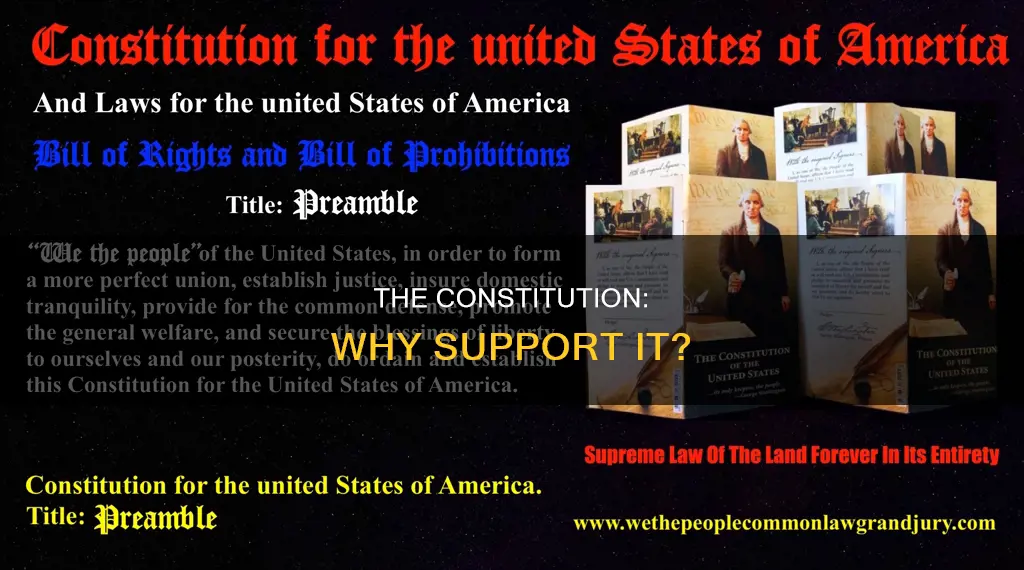 what showed people that they needed to support the constitution