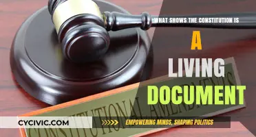 The Constitution: A Living Document, Why?