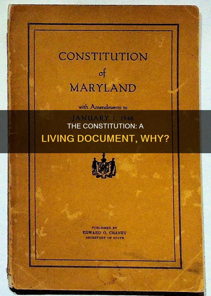 what shows the constitution is a living document