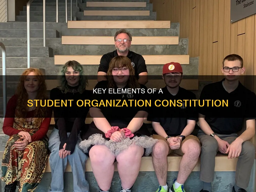 what shpuld be in a constitution student organization