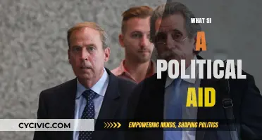 Understanding the Role and Impact of a Political Aide