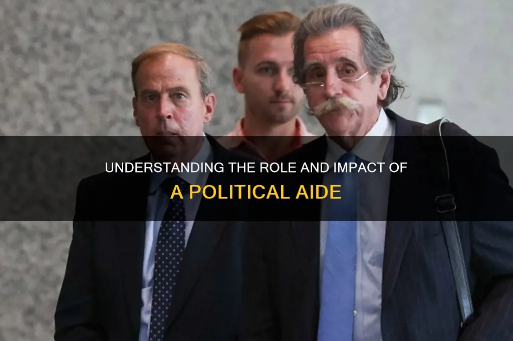 what si a political aid