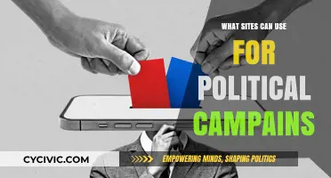 Leveraging Online Platforms for Political Campaigns: A Comprehensive Guide