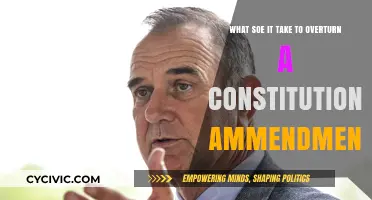 The Challenge of Overturning Constitutional Amendments
