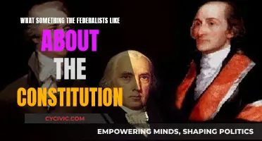 Federalists' Favorite Constitutional Aspects: A Historical Perspective