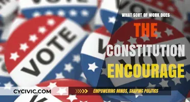 Constitution Work: Encouraging Balance and Checks