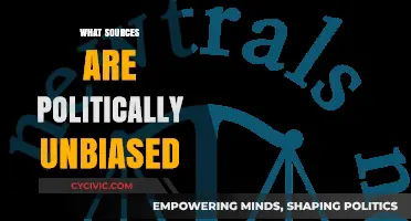 Navigating Neutrality: Identifying Politically Unbiased News Sources Today