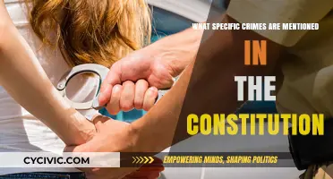 Crimes in the Constitution: What Are They?