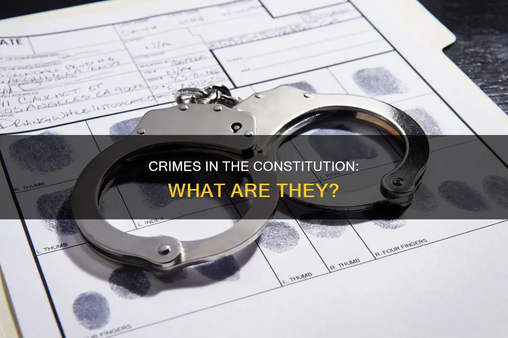 what specific crimes are mentioned in the constitution