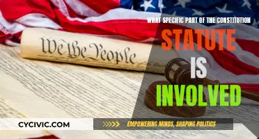 Constitution Statute Involvement: What's the Specific Section?