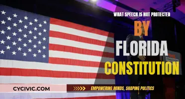 Speech Not Protected by Florida Constitution: What's the Limit?