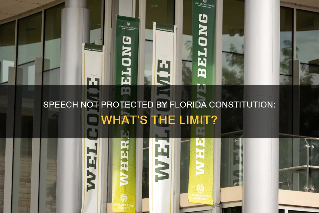 what speech is not protected by florida constitution