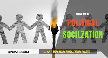 Unraveling the Forces That Divide Political Socialization in Modern Society