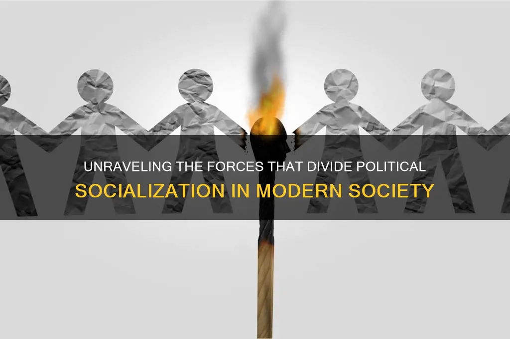 what splits political socilzation