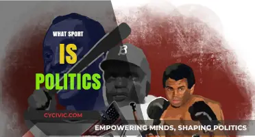 The Intersection of Politics and Sports: Power, Influence, and Impact