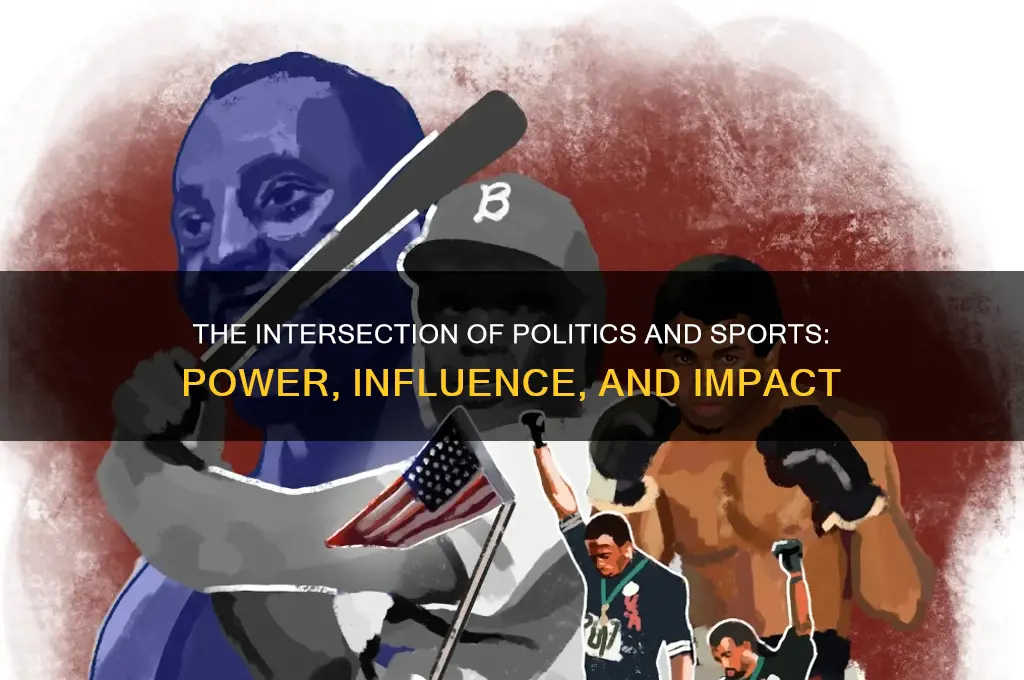 what sport is politics