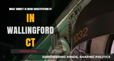 Constitution Street Neighbors in Wallingford, CT