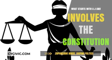 James Madison's Influence on the US Constitution