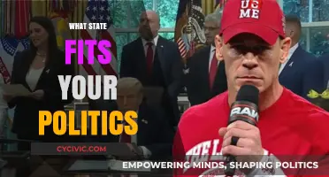 Find Your Political Home: Which U.S. State Matches Your Views?