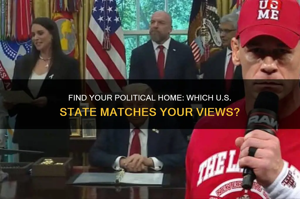 what state fits your politics
