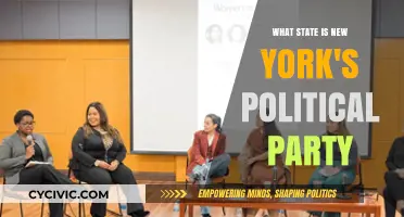Understanding New York's Dominant Political Party and Its Statewide Influence