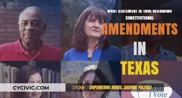Texas Constitution Amendments: What's the Real Deal?