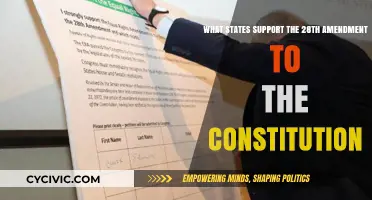 States Supporting the 28th Amendment: A Constitutional Update