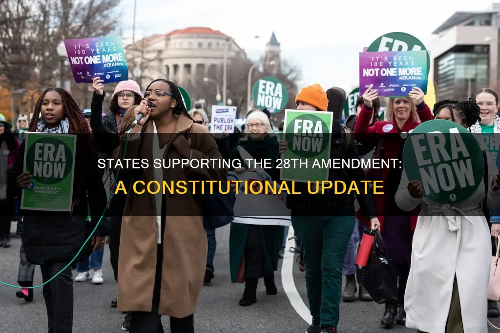 what states support the 28th amendment to the constitution