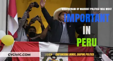 Peru's Political Landscape: The Predominant Marxist Strain Revealed