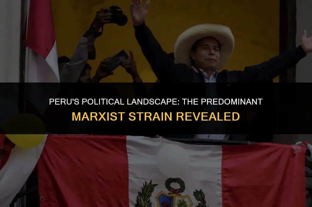 what strain of marxist politica was most important in peru