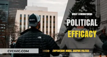 Empowering Citizens: Key Factors That Strengthen Political Efficacy