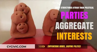 Beyond Political Parties: Exploring Alternative Structures for Interest Aggregation