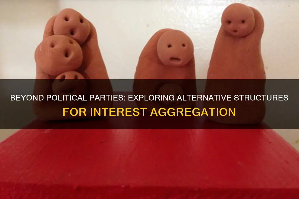 what structures other than political parties aggregate interests