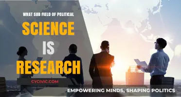 Exploring the Depths: Subfields of Political Science Research