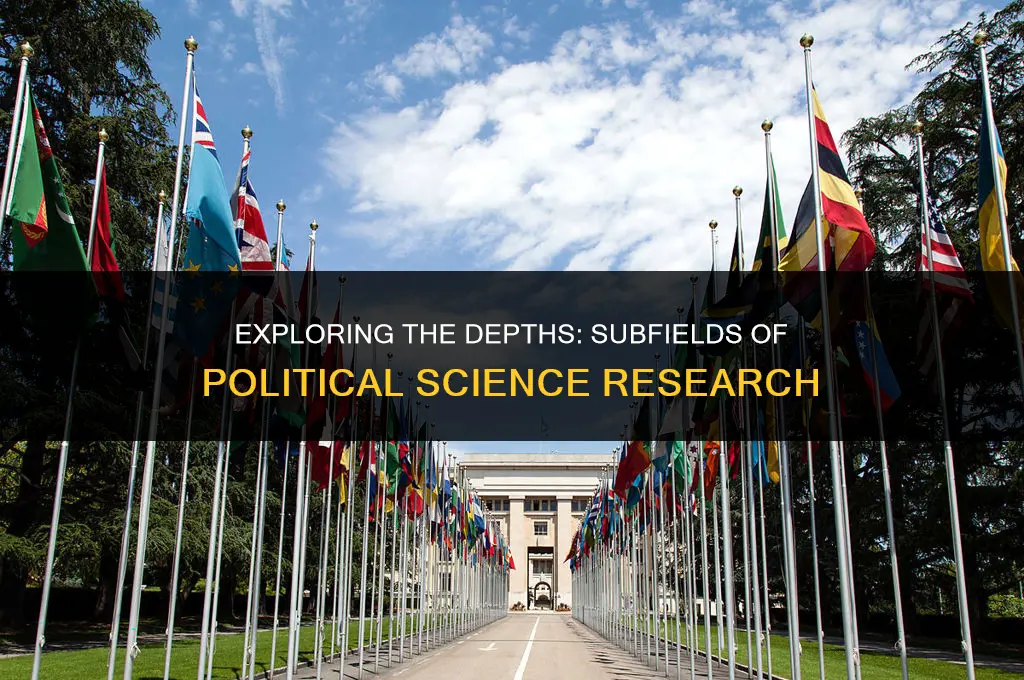 what sub field of political science is research