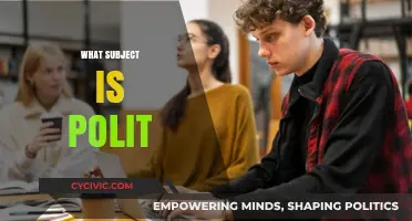 Understanding the Subject of Politics: A Comprehensive Guide for Beginners