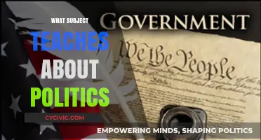 Understanding Political Systems: The Role of Civics and Government Studies
