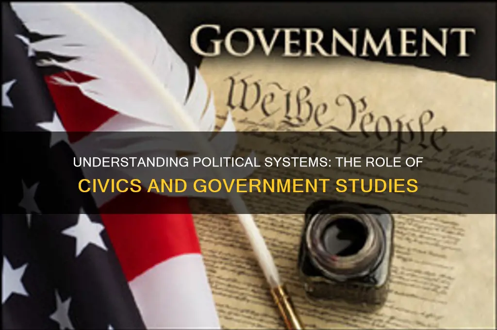 what subject teaches about politics