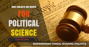 Exploring the Essential Subjects for a Political Science Degree