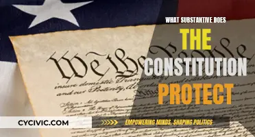 The Constitution: Safeguarding Our Substantive Rights and Freedoms