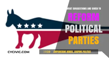 Reforming Political Parties: Key Strategies for Transparency and Accountability