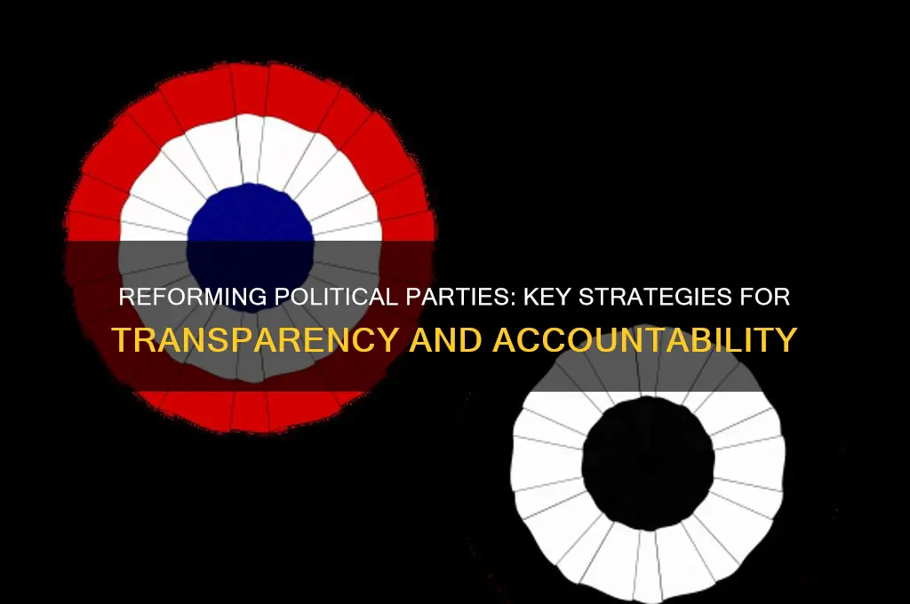 what suggestions are given to reform political parties