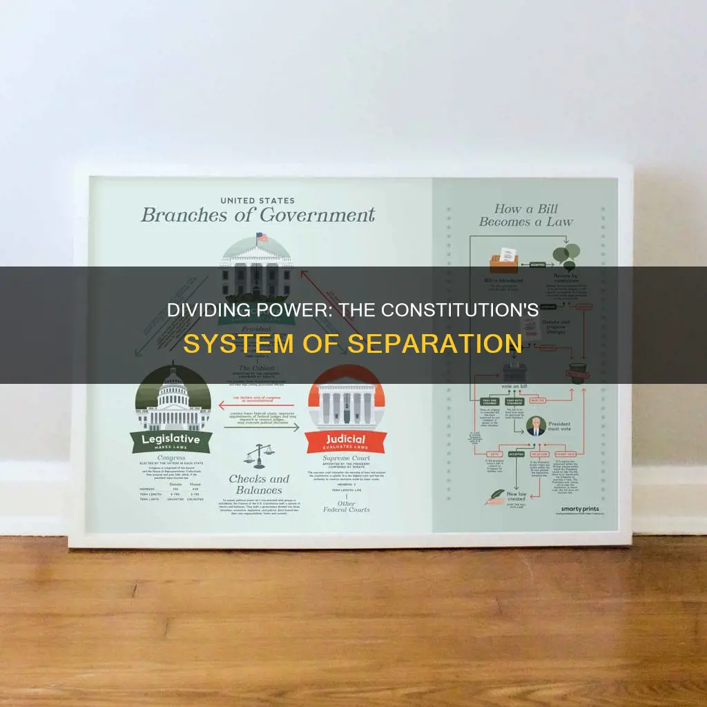 what system does the constitution use to divide