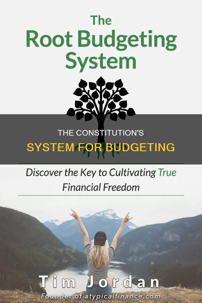 what system established in the constitution guides the budget process