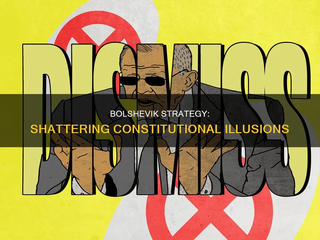 what tactic did the bolsheviks develop to destroy constitutional illusions