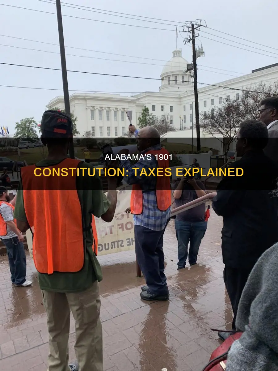 what taxes are addresses in 1901 alabama constitution