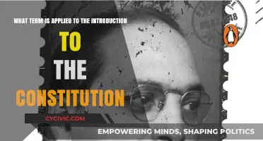 The Constitution's Introduction: A [Term] Explained